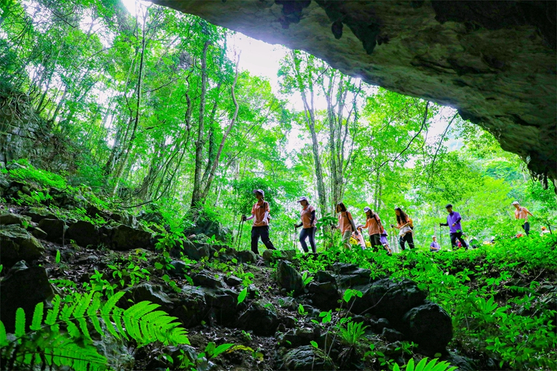 1 圖為茂蘭景區(qū).jpg