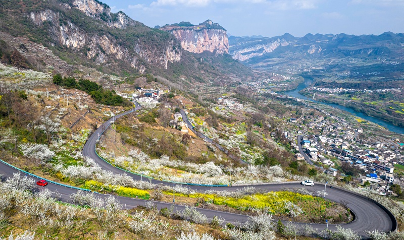 3月4日，貴州省黔西市大關(guān)鎮(zhèn)丘林村盛開的桃花李花與村莊、河流、山川構(gòu)成一幅美麗鄉(xiāng)村生態(tài)畫卷。