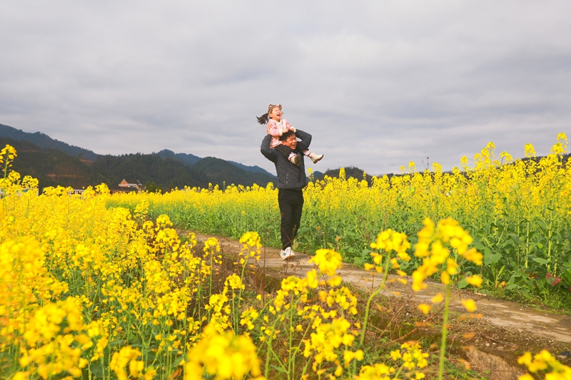 游客在劍河縣南明大壩賞花玩耍。楊潔茹攝