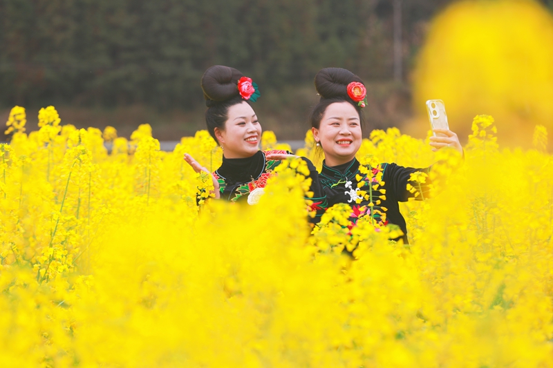 游客在劍河縣南明大壩油菜花海中拍照打卡。楊潔茹攝