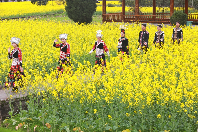 在劍河縣南明大壩油菜花海，游客穿梭于花田賞花、拍照。楊潔茹攝