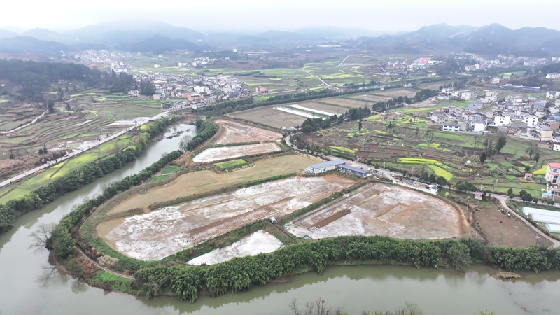 螺螄蝦養(yǎng)殖基地復(fù)工忙 (1).jpg