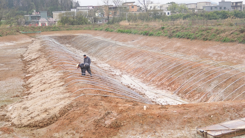 螺螄蝦養(yǎng)殖基地復(fù)工忙。