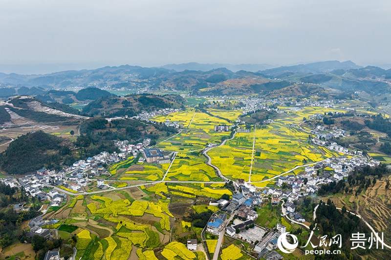 桐梓縣官倉鎮“和美鄉村”新畫卷。人民網記者 涂敏攝.jpg