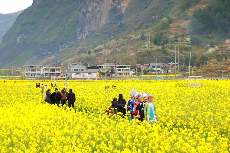活動現(xiàn)場。