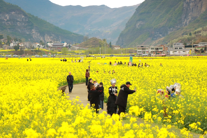 活動現(xiàn)場。