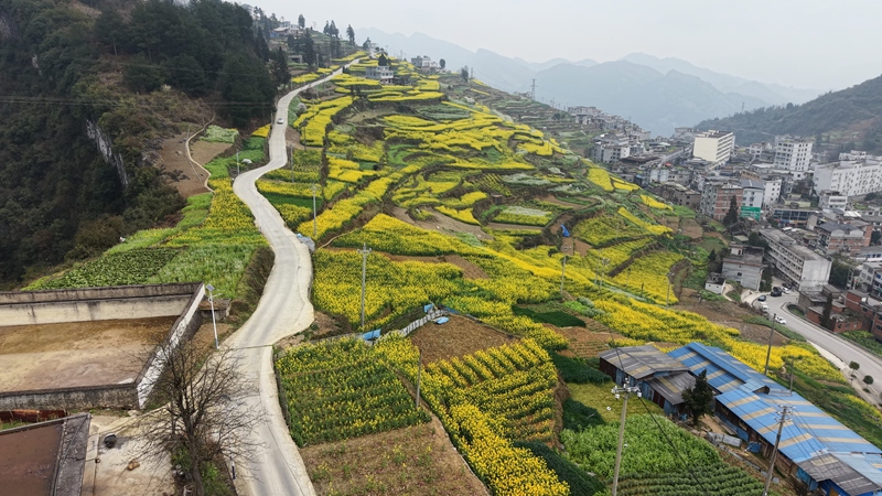 1、永安鎮(zhèn)的村組公路上,一個個新修的生態(tài)錯車道格外醒目。習(xí)水縣融媒體中心供圖