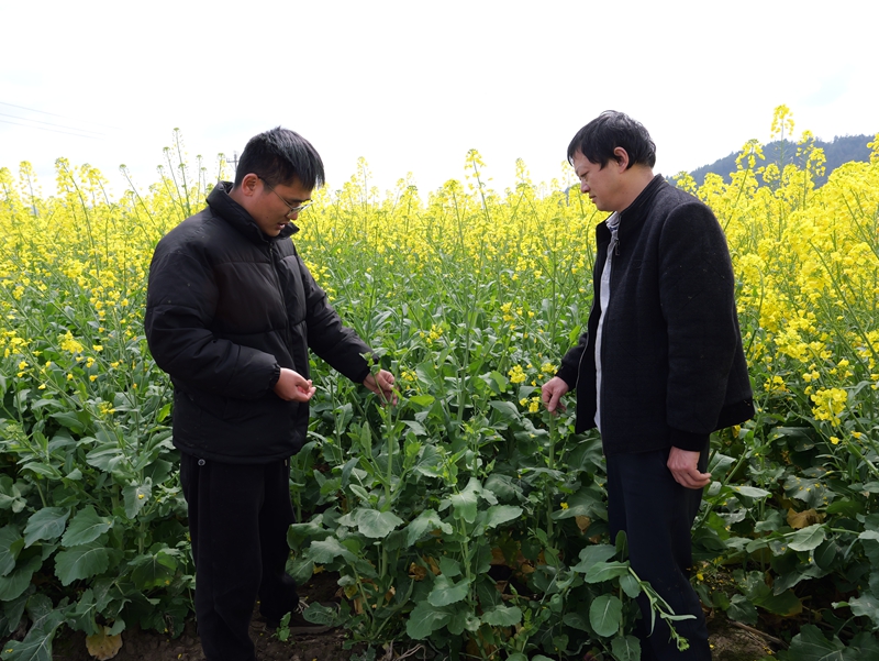 農技人員為農戶提供科學化管護措施。