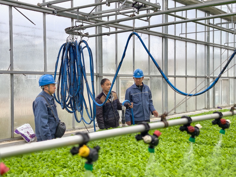 4、畢節威寧供電局員工走進育苗企業開展春耕生產。威寧供電局供圖