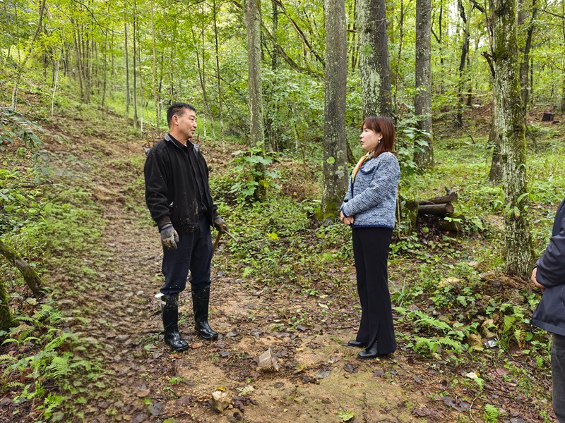 全國人大代表張尤慧在武陵山區掛職。周曉波攝