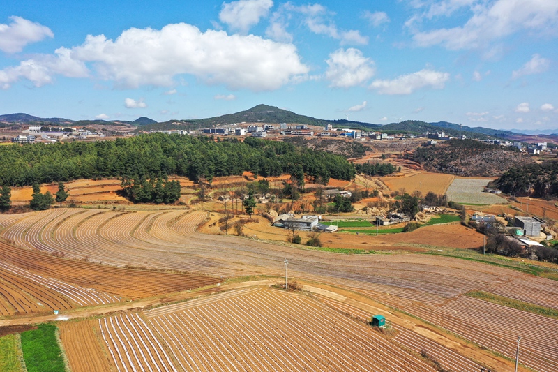 圖為3月4日，航拍么站鎮平原村馬鈴薯種植基地基地一角。（陳逍 攝）