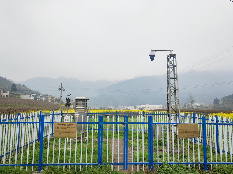 農(nóng)作物病蟲(chóng)害疫情監(jiān)測(cè)智能系統(tǒng) 陳昱 攝