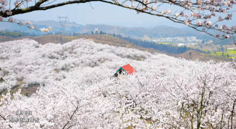 活動現(xiàn)場。