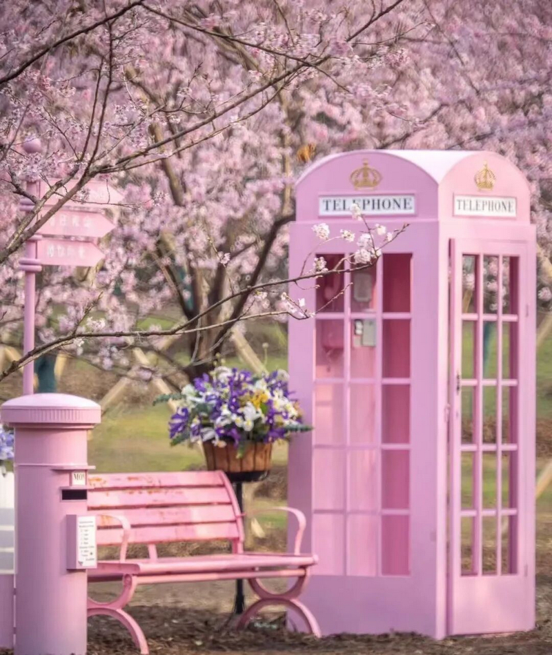 活動現(xiàn)場。