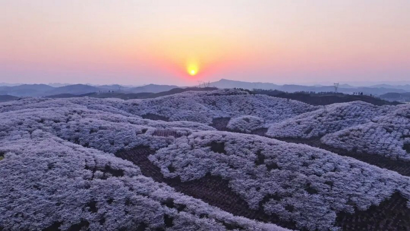 活動現(xiàn)場。