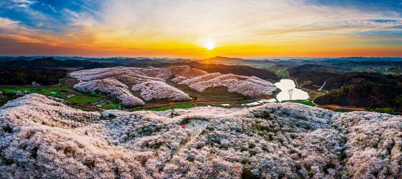 活動現(xiàn)場。