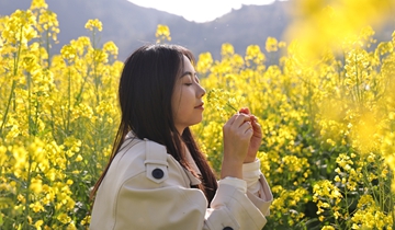 超出片！基長鎮2500畝油菜花迎來盛花期獨山縣基長鎮秀峰村的油菜花迎來了盛花期，在這片被陽光和雨水滋潤的土地上，連片金黃色的花海隨風起伏，勾勒出醉人的春日田園美景……