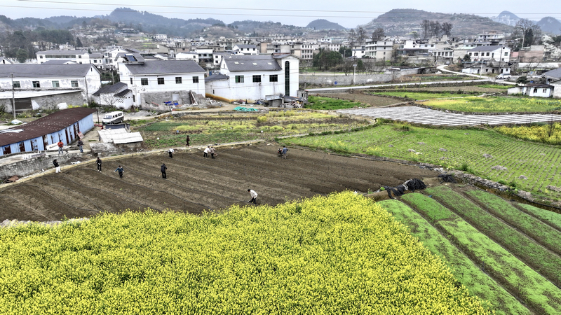 觀山湖區(qū)朱昌鎮(zhèn)茶飯村。