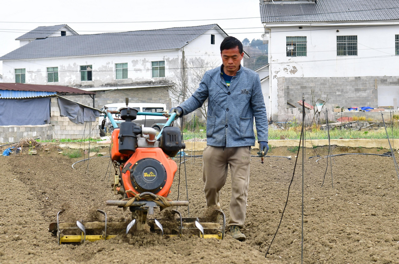 農(nóng)機轟鳴作響,在田間來回穿梭、翻耕土地。