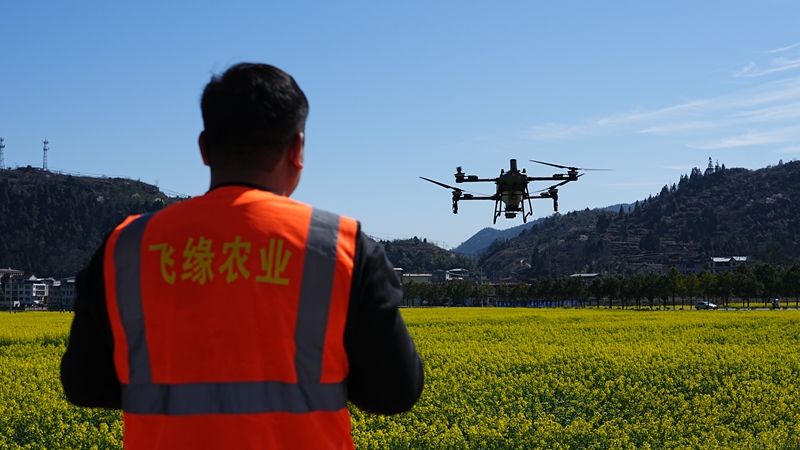 無人機(jī)飛防。