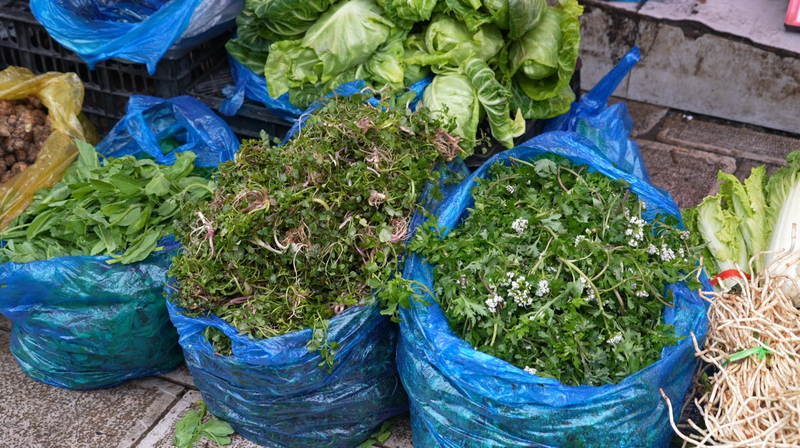 春菜爭“鮮”上市。