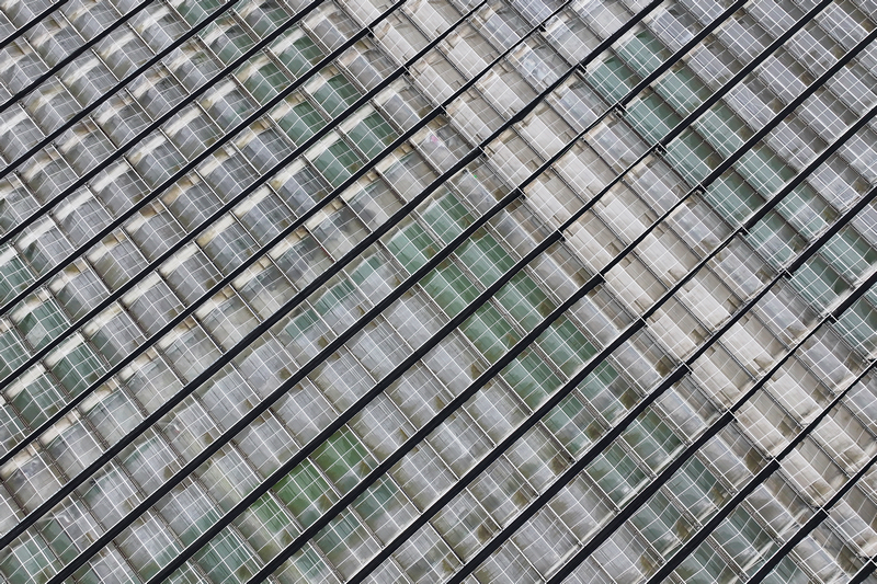 3月11日，航拍威寧江楠育苗中心大棚。