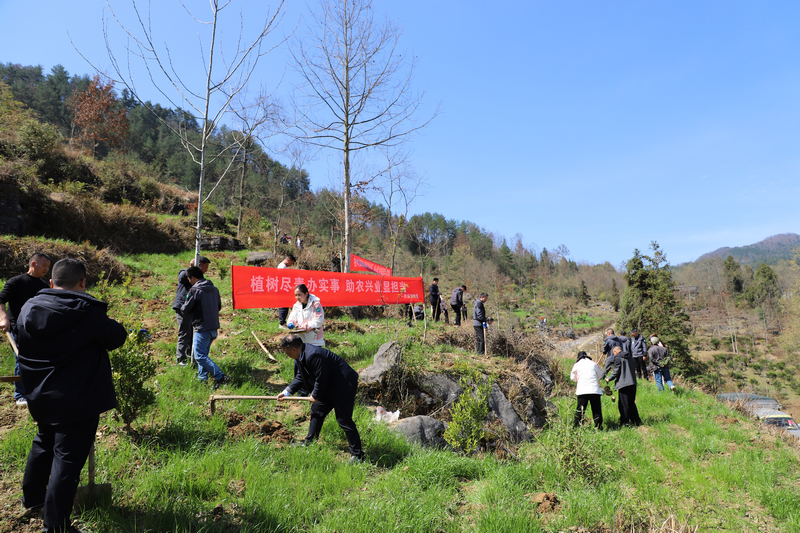 活動現(xiàn)場。