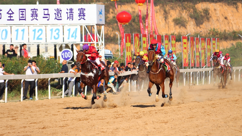 駿馬飛奔 (2).JPG