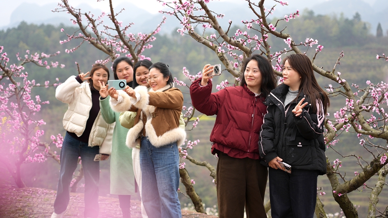 2026年3月10日,貴州省納雍縣董地鄉黎明村萬株桃花悄然進入最佳觀賞期,粉霞漫卷山崗,花瓣隨風搖曳,隨手一拍都是春日大片。謝健鋒攝