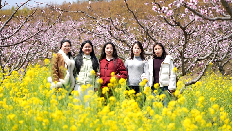 2026年3月10日,貴州省納雍縣董地鄉黎明村萬株桃花悄然進入最佳觀賞期,粉霞漫卷山崗,花瓣隨風搖曳,隨手一拍都是春日大片。謝健鋒攝