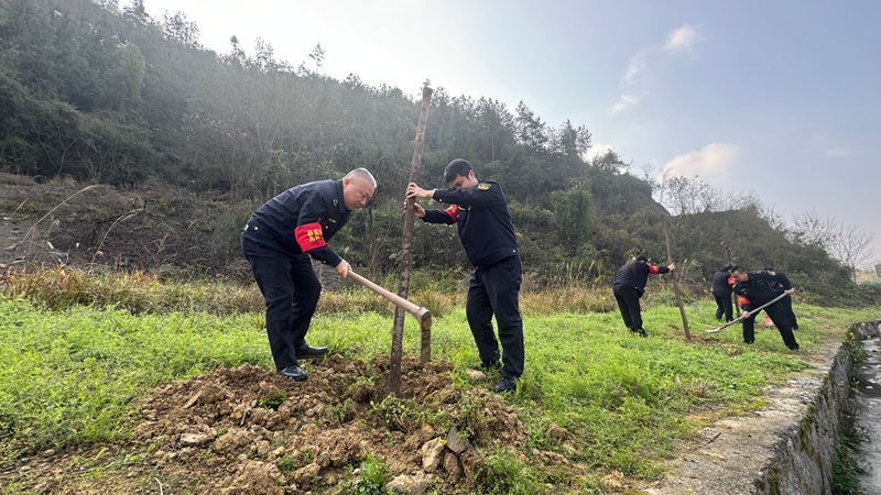 2 植樹現(xiàn)場