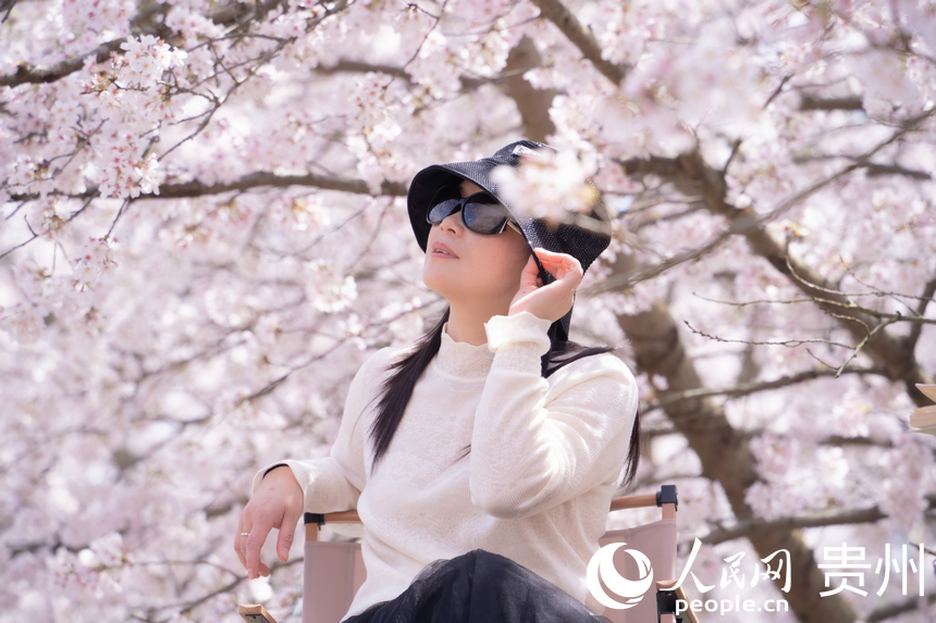 游客在櫻花樹下拍照。人民網 陽茜攝