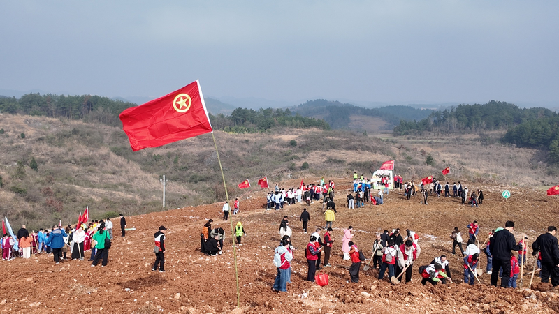 碧江區(qū)滑石鄉(xiāng)滑石村植樹現(xiàn)場。朱子立攝