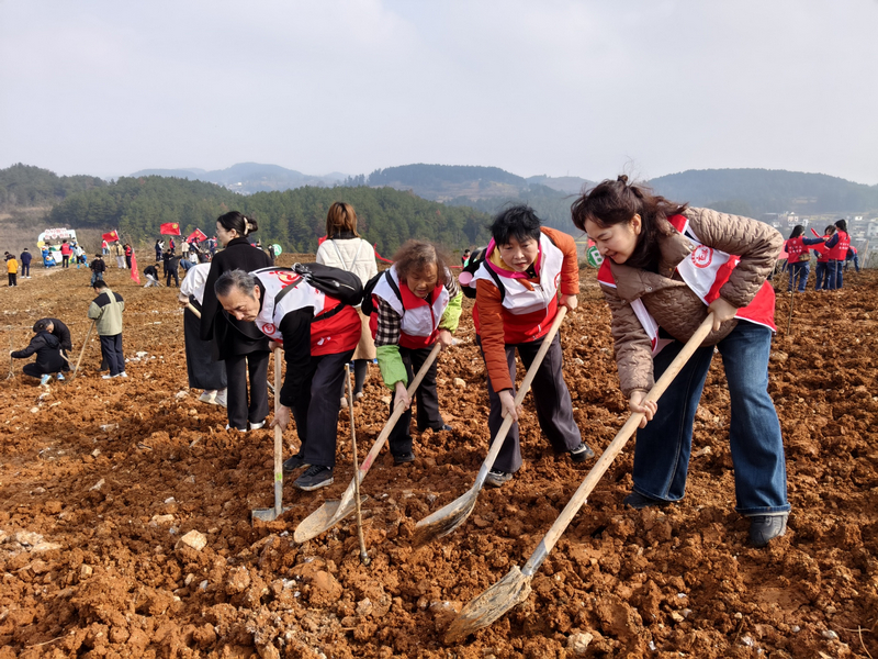 志愿者參加活動(dòng)。楊娟攝