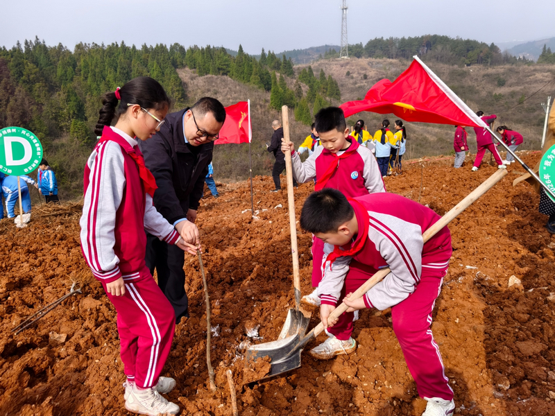 共青團(tuán)銅仁市委副書記張青松 教學(xué)生植樹。楊娟攝