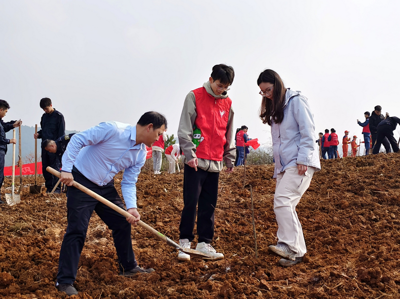 植樹活動(dòng)現(xiàn)場。楊娟攝