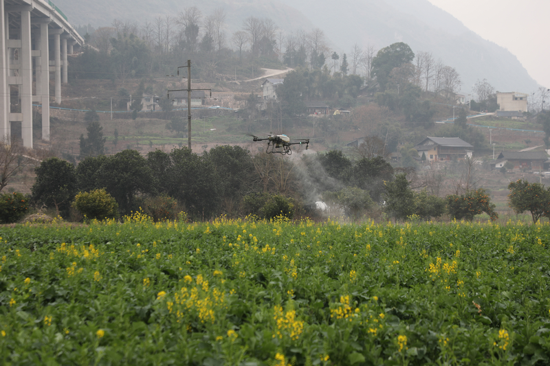 貴州石阡：油菜春管正當時 農(nóng)技下鄉(xiāng)助力糧油豐收。