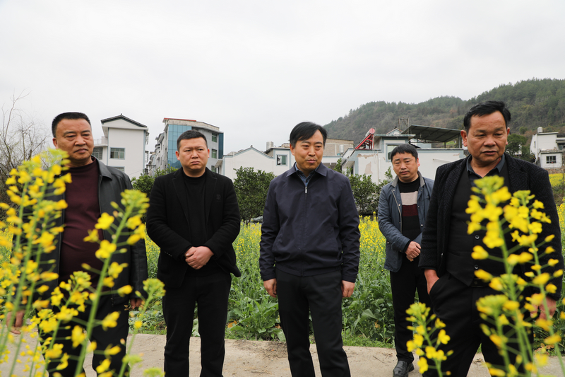 貴州石阡：油菜春管正當時 農(nóng)技下鄉(xiāng)助力糧油豐收。