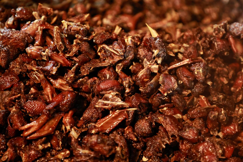 貴州印江：養鴿延鏈條 融合加工提質效。