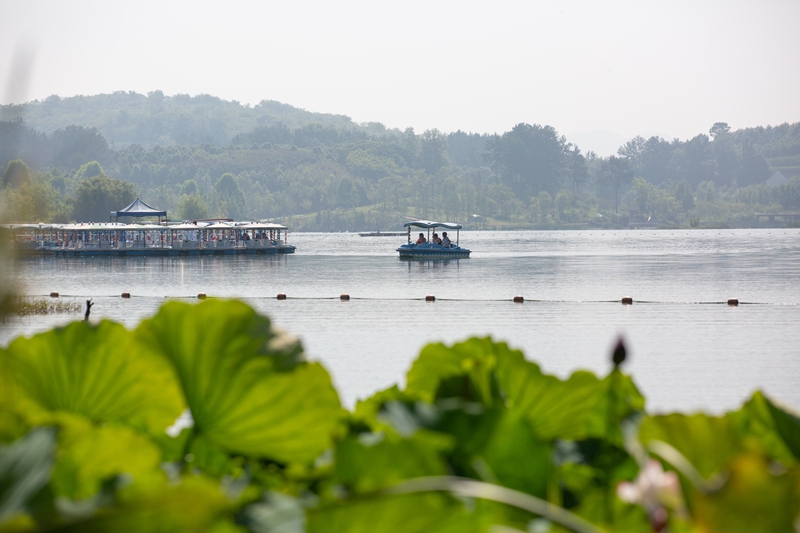 金海湖公園夏日生態畫卷里的文旅新活力。周照人攝