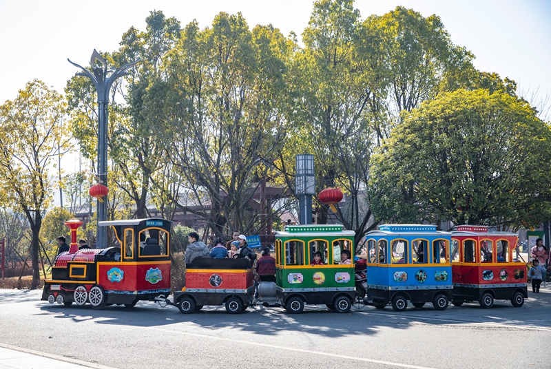 金海湖公園。胡秋婷攝