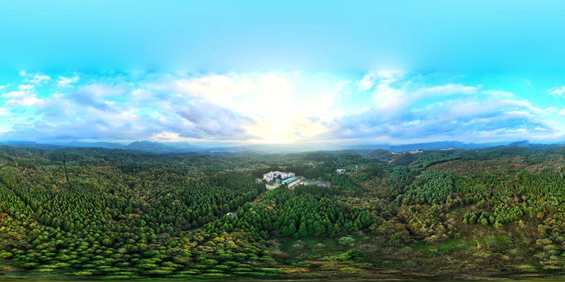 初冬時節，七星關區拱攏坪國家森林公園層林盡染，五彩斑斕。萬飄陽攝