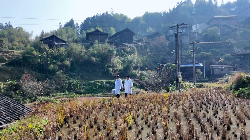 張曉鳳與同事進行入戶隨訪。