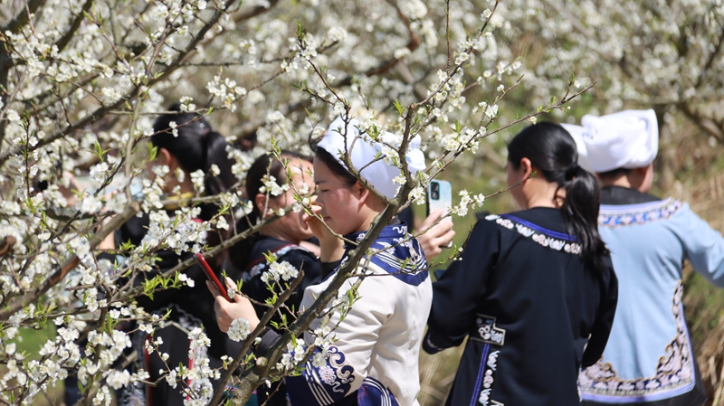 當?shù)卮迕翊喝仗で唷⒋蚩ㄅ恼?JPG