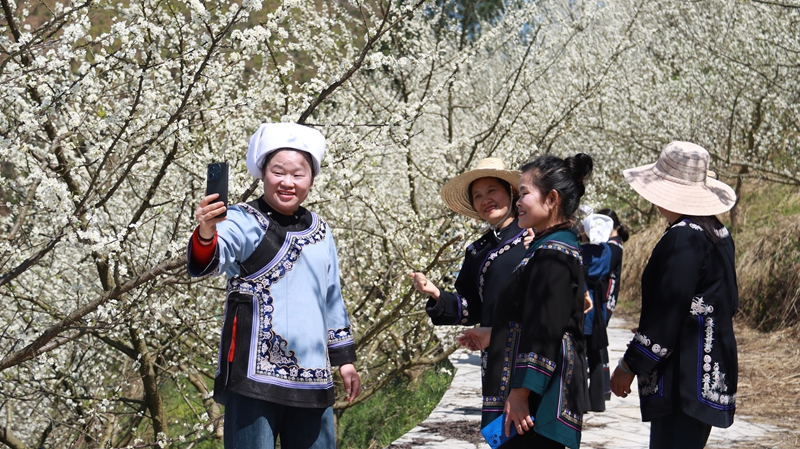 當?shù)卮迕翊蚩ㄅ恼?JPG