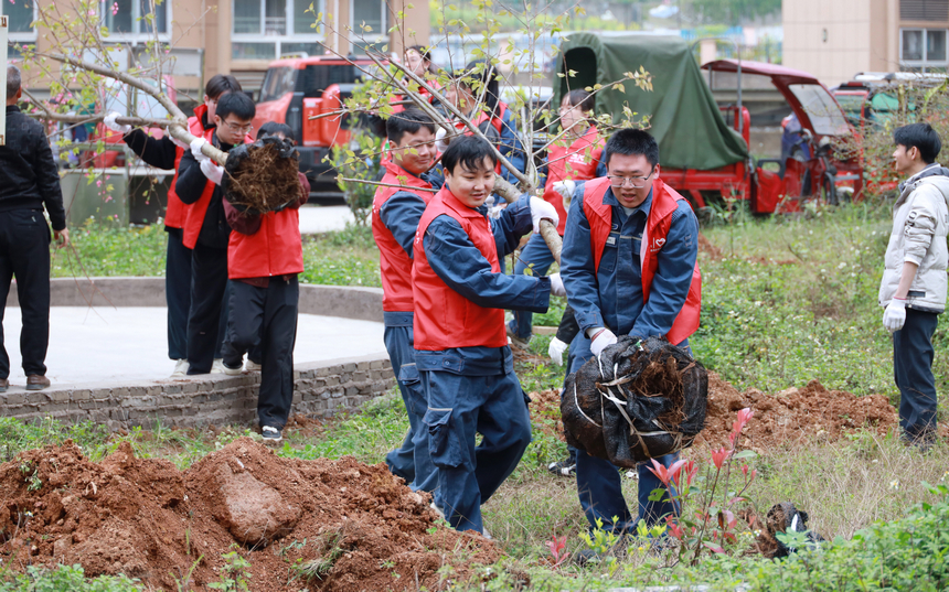 興義供電局團(tuán)青志愿者植樹(shù)節(jié)搬運(yùn)樹(shù)苗。