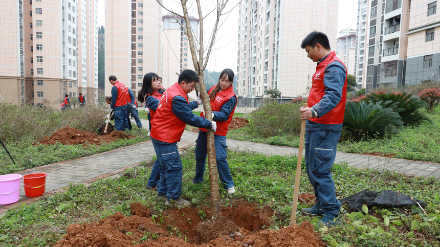 青年志愿者植樹(shù)。