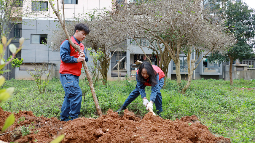 南方電網(wǎng)貴州興義供電局青年志愿者植樹(shù)。
