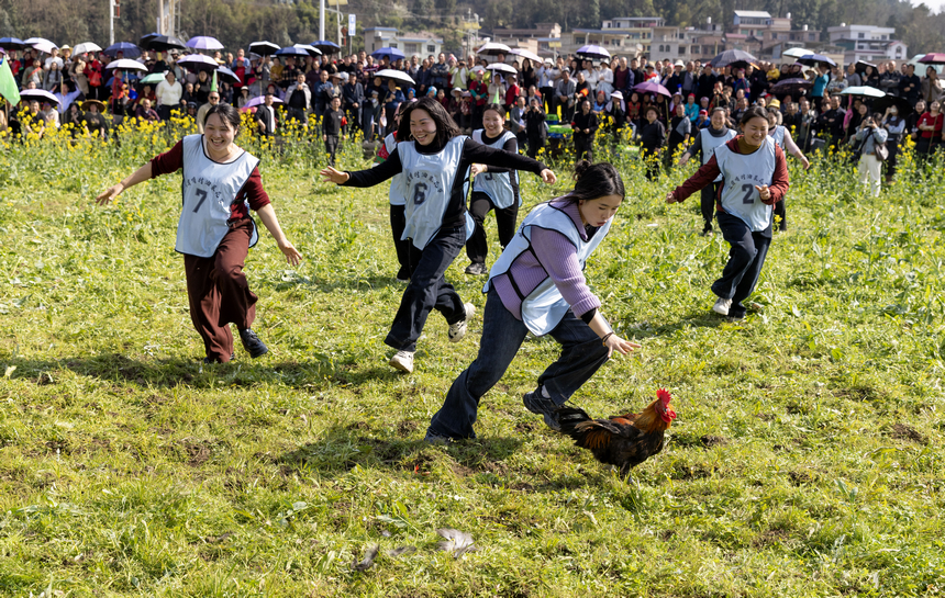 2026年月3月11日，在貴州省黔東南苗族侗族自治州施秉縣城關鎮上翁哨村，村民在參加捉雞趣味活動。