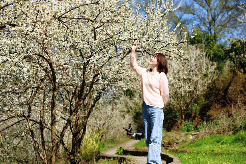 游客在劍河縣柳川鎮鎮江村踏春賞花。劍河縣融媒體中心供圖